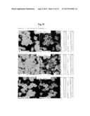 TRANSITION-METAL-CONTAINING ZEOLITE diagram and image