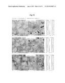 TRANSITION-METAL-CONTAINING ZEOLITE diagram and image