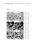 TRANSITION-METAL-CONTAINING ZEOLITE diagram and image