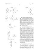 BETA-SUBSTITUTED GAMMA-AMINO ACIDS AND ANALOGS AS CHEMOTHERAPEUTIC AGENTS diagram and image