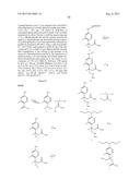BETA-SUBSTITUTED GAMMA-AMINO ACIDS AND ANALOGS AS CHEMOTHERAPEUTIC AGENTS diagram and image