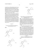 BETA-SUBSTITUTED GAMMA-AMINO ACIDS AND ANALOGS AS CHEMOTHERAPEUTIC AGENTS diagram and image