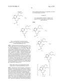 BETA-SUBSTITUTED BETA-AMINO ACIDS AND ANALOGS AS CHEMOTHERAPEUTIC AGENTS diagram and image