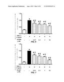 COMPOSITION FOR PREVENTING OR TREATING KIDNEY DISEASE COMPRISING PYRAZOLE     DERIVATIVE diagram and image