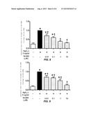 COMPOSITION FOR PREVENTING OR TREATING KIDNEY DISEASE COMPRISING PYRAZOLE     DERIVATIVE diagram and image