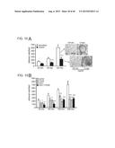 INHIBITORS OF ALPHA6 INTEGRIN/E-CADHERIN COMPLEX diagram and image