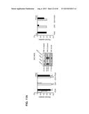 INHIBITORS OF ALPHA6 INTEGRIN/E-CADHERIN COMPLEX diagram and image