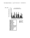 INHIBITORS OF ALPHA6 INTEGRIN/E-CADHERIN COMPLEX diagram and image