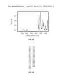 ROMIDEPSIN SOLID FORMS AND USES THEREOF diagram and image