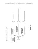 METHODS FOR MODULATING TAL SPECIFICITY diagram and image