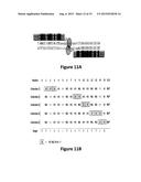 METHODS FOR MODULATING TAL SPECIFICITY diagram and image