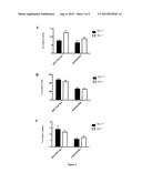 TIF1-Gamma for Treating and Diagnosing Inflammatory Diseases diagram and image