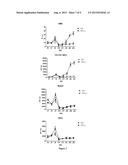 TIF1-Gamma for Treating and Diagnosing Inflammatory Diseases diagram and image