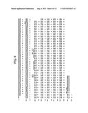 TACI AS AN ANTI-TUMOR AGENT diagram and image