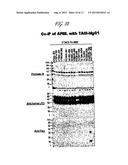 TACI AS AN ANTI-TUMOR AGENT diagram and image