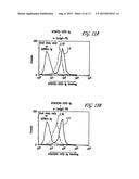 TACI AS AN ANTI-TUMOR AGENT diagram and image