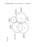 MONOCLONAL ANTIBODIES DIRECTED AGAINST TRIMERIC FORMS OF THE HIV-1     ENVELOPE GLYCOPROTEIN WITH BROAD AND POTENT NEUTRALIZING ACTIVITY diagram and image