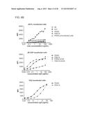 MONOCLONAL ANTIBODIES DIRECTED AGAINST TRIMERIC FORMS OF THE HIV-1     ENVELOPE GLYCOPROTEIN WITH BROAD AND POTENT NEUTRALIZING ACTIVITY diagram and image