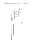 MODIFIED FC POLYPEPTIDES, FC CONJUGATES, AND METHODS OF USE THEREOF diagram and image