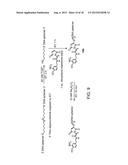 MODIFIED FC POLYPEPTIDES, FC CONJUGATES, AND METHODS OF USE THEREOF diagram and image