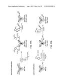 MODIFIED FC POLYPEPTIDES, FC CONJUGATES, AND METHODS OF USE THEREOF diagram and image