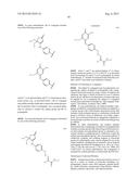 MODIFIED FC POLYPEPTIDES, FC CONJUGATES, AND METHODS OF USE THEREOF diagram and image