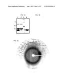 METHODS FOR THE HUMANIZATION OF ANTIBODIES AND HUMANIZED ANTIBODIES     THEREBY OBTAINED diagram and image