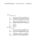 METHODS FOR THE HUMANIZATION OF ANTIBODIES AND HUMANIZED ANTIBODIES     THEREBY OBTAINED diagram and image