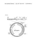 METHODS FOR THE HUMANIZATION OF ANTIBODIES AND HUMANIZED ANTIBODIES     THEREBY OBTAINED diagram and image