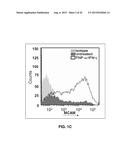 INHIBITION OF TH17 CELLS MIGRATION TO INFLAMED TISSUES USING ANTIBODIES     DIRECTED AGAINST MCAM diagram and image