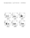 INHIBITION OF TH17 CELLS MIGRATION TO INFLAMED TISSUES USING ANTIBODIES     DIRECTED AGAINST MCAM diagram and image