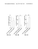 INHIBITION OF TH17 CELLS MIGRATION TO INFLAMED TISSUES USING ANTIBODIES     DIRECTED AGAINST MCAM diagram and image