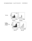 INHIBITION OF TH17 CELLS MIGRATION TO INFLAMED TISSUES USING ANTIBODIES     DIRECTED AGAINST MCAM diagram and image