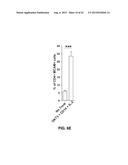 INHIBITION OF TH17 CELLS MIGRATION TO INFLAMED TISSUES USING ANTIBODIES     DIRECTED AGAINST MCAM diagram and image