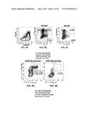 INHIBITION OF TH17 CELLS MIGRATION TO INFLAMED TISSUES USING ANTIBODIES     DIRECTED AGAINST MCAM diagram and image