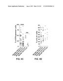 INHIBITION OF TH17 CELLS MIGRATION TO INFLAMED TISSUES USING ANTIBODIES     DIRECTED AGAINST MCAM diagram and image