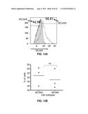 INHIBITION OF TH17 CELLS MIGRATION TO INFLAMED TISSUES USING ANTIBODIES     DIRECTED AGAINST MCAM diagram and image