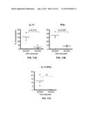 INHIBITION OF TH17 CELLS MIGRATION TO INFLAMED TISSUES USING ANTIBODIES     DIRECTED AGAINST MCAM diagram and image