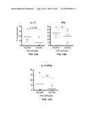 INHIBITION OF TH17 CELLS MIGRATION TO INFLAMED TISSUES USING ANTIBODIES     DIRECTED AGAINST MCAM diagram and image