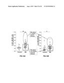 INHIBITION OF TH17 CELLS MIGRATION TO INFLAMED TISSUES USING ANTIBODIES     DIRECTED AGAINST MCAM diagram and image