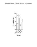 INHIBITION OF TH17 CELLS MIGRATION TO INFLAMED TISSUES USING ANTIBODIES     DIRECTED AGAINST MCAM diagram and image