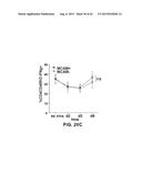 INHIBITION OF TH17 CELLS MIGRATION TO INFLAMED TISSUES USING ANTIBODIES     DIRECTED AGAINST MCAM diagram and image