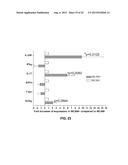 INHIBITION OF TH17 CELLS MIGRATION TO INFLAMED TISSUES USING ANTIBODIES     DIRECTED AGAINST MCAM diagram and image