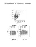 INHIBITION OF TH17 CELLS MIGRATION TO INFLAMED TISSUES USING ANTIBODIES     DIRECTED AGAINST MCAM diagram and image