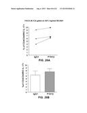 INHIBITION OF TH17 CELLS MIGRATION TO INFLAMED TISSUES USING ANTIBODIES     DIRECTED AGAINST MCAM diagram and image