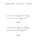 HUMANIZED ANTI-IL 10 ANTIBODIES FOR THE TREATMENT OF SYSTEMIC LUPUS     ERYTHEMATOSUS (SLE) diagram and image