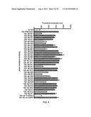 ANTI-TRANSGLUTAMINASE 2 ANTIBODIES diagram and image