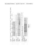 ANTI-TRANSGLUTAMINASE 2 ANTIBODIES diagram and image