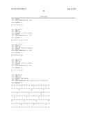 ANTI-TRANSGLUTAMINASE 2 ANTIBODIES diagram and image