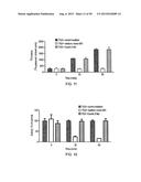 ANTI-TRANSGLUTAMINASE 2 ANTIBODIES diagram and image